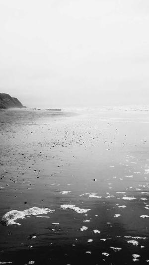 赵丽颖黑料截图5